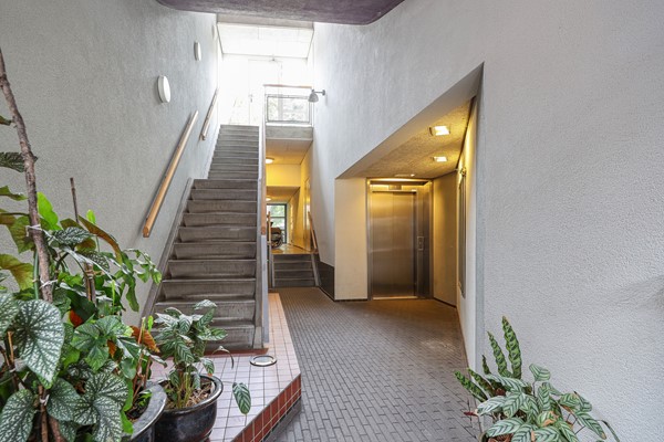 Photo - For rent: Eerste van Swindenstraat 177, 1093 GB Amsterdam